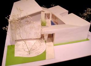 plasta-project